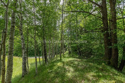 Rustico regione ariette 4, Andrate