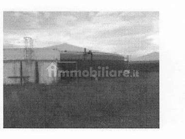 Capannone all'asta Località Porrona null, Cinigiano