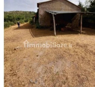 Capannone all'asta Località Salaiola, Arcidosso