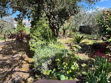 Sorano, Località Valle Bisogna, 4