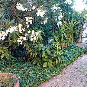 Villa a schiera 5 locali, buono stato, Centro, Formigine