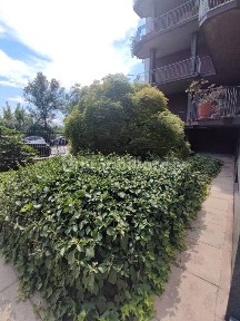 Trilocale viale Lungo Ticino Visconti, Centro Storico, Pavia