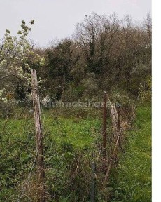 Villetta a schiera all'asta Contrada Macchia della Tavola 36/A, Cosenza