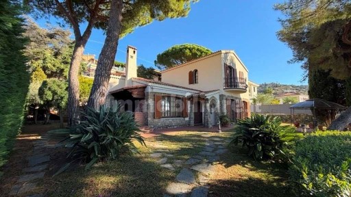 Ospedaletti, Strada delle Mimose