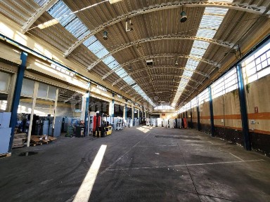 Pavia di Udine, Lauzacco