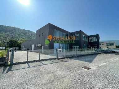 Locale commerciale in Affitto