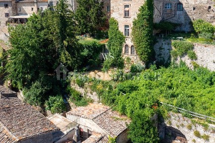 Todi, todi