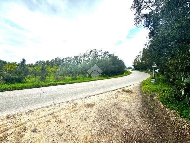 Terratetto unifamiliare Località san priamo, San Vito
