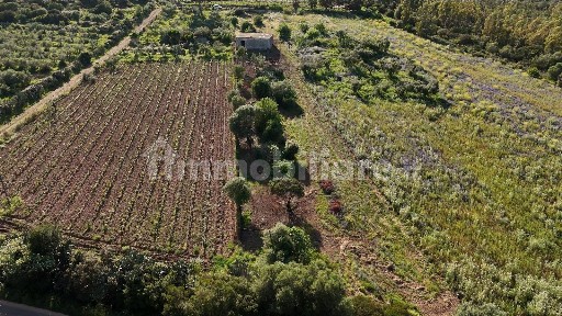 Villaputzu, località Monte Nei Quirra, SNC