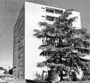 Appartamento all'asta via Velino, 6, Bastia Umbra