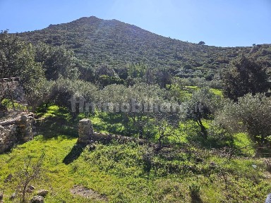 Rustico Strada Statale Orientale Sarda, Terra Mala, Geremeas, Quartu Sant'Elena
