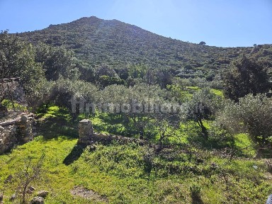 Rustico Strada Statale Orientale Sarda, Terra Mala, Geremeas, Quartu Sant'Elena