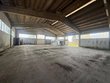 Locale commerciale in Affitto