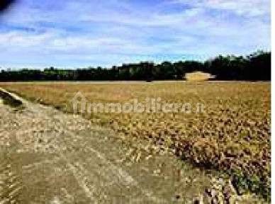 Capannone all'asta Cascina Bricco, Quattordio
