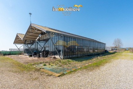 Capannone in Vendita