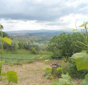 Lapio, Strada Provinciale Lapio
