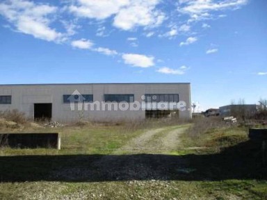 Capannone all'asta via San Lazzaro, 15045 Sale Italia, Sale