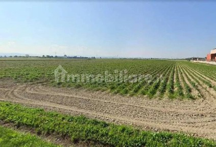 Capannone all'asta Strada Provinciale Molino de'Torti 36, Castelnuovo Scrivia