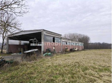 Capannone all'asta Località Vianuova, 4, Castelletto d'Orba