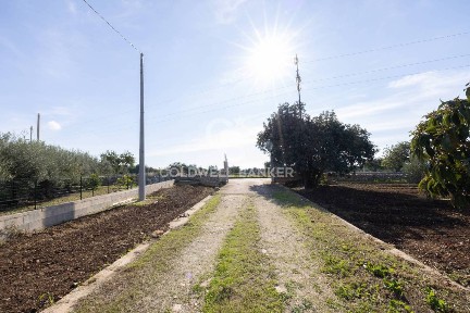 Magazzino - Deposito in Vendita