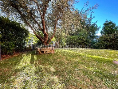 Quadrilocale via Prepassa, Alberghi, Via Romana, Pescia Morta, Pescia