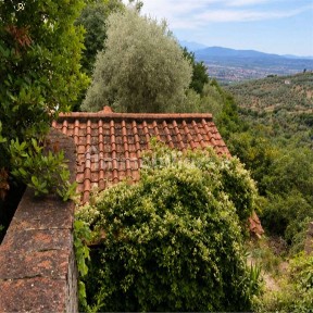 Appartamento all'asta via Vecchia Maremmana 3, Lamporecchio