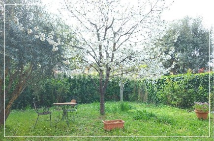 Montecatini-Terme, via mascagni