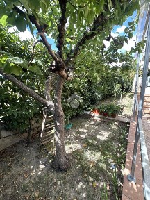 Villa a schiera via Grazia Deledda, Centro, Canosa di Puglia