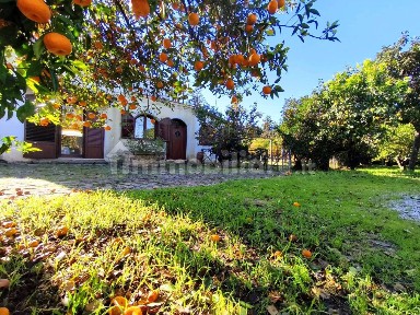 Villa unifamiliare via Villa Nave, Altarello, Palermo