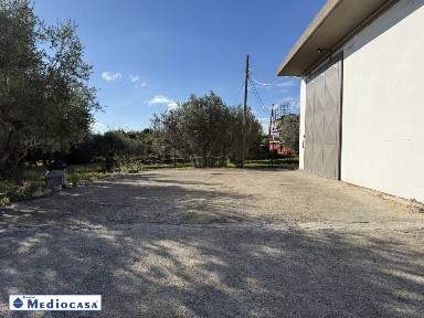 Locale commerciale in Affitto