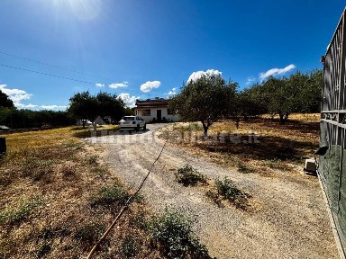 Villa unifamiliare Contrada Bellacera, Bellacera, Santa Flavia
