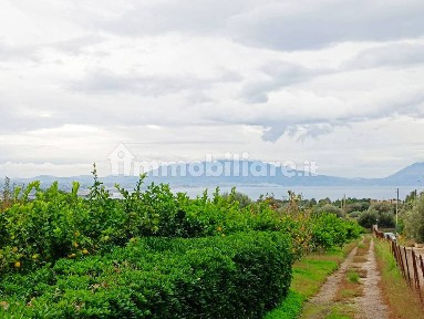 Villa unifamiliare SP1bis, Terrasini