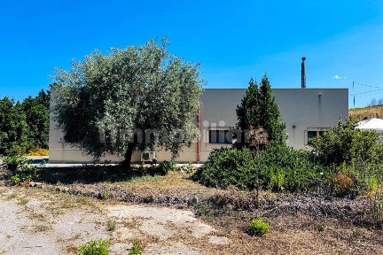 Collesano