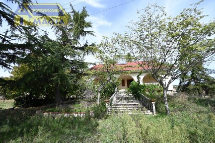 Colli del Tronto, SS4, 56