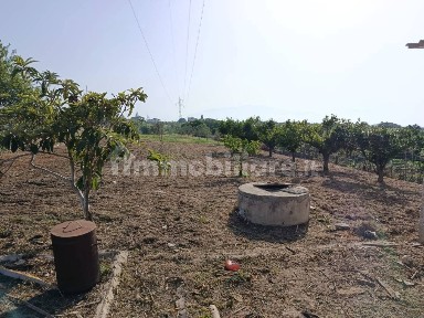 Villa unifamiliare, buono stato, 90 m², Balestrate Foce, Balestrate