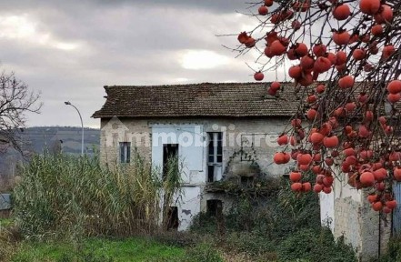 Villa all'asta via Salaria 143, Spinetoli