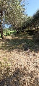Capannori, Colle di Compito - Castelvecchio, Via della Ruga