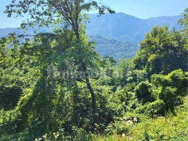 Terratetto unifamiliare 120 m², Seren del Grappa