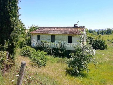 Terranuova Bracciolini, località Traiana, Traiana