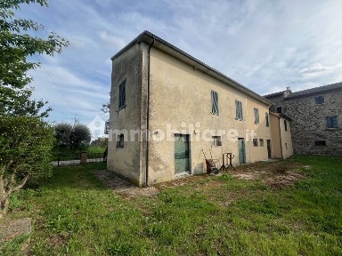 Cortona, N. A. Ca' di Masino, 2