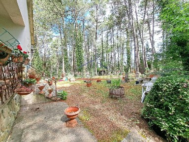 Arezzo, Antria, Loc. Fontemura