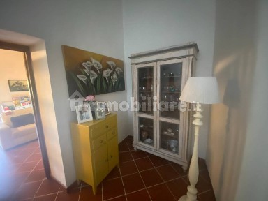 Arezzo, Olmo
