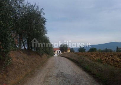 Cortona, Montecchio del Loto