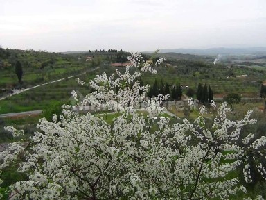 Terratetto unifamiliare 230 m², buono stato, Centro, Lucignano