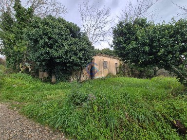 Magazzino - Deposito in Vendita