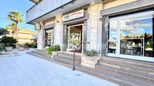 Cartoleria - Copisteria in Vendita