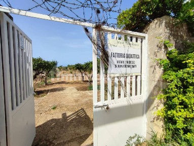 Azienda agricola con laboratorio in Vendita