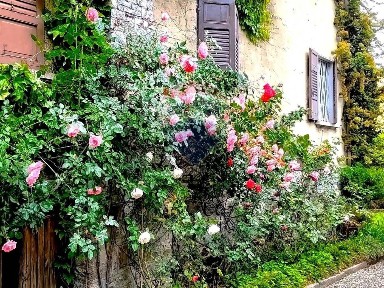 Villa unifamiliare via Principe di Piemonte, Centro, Stresa