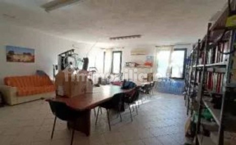 Capannone all'asta Località Su Padru snc, Sedilo