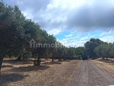 Capannone all'asta Localita' Cogotti, Paulilatino